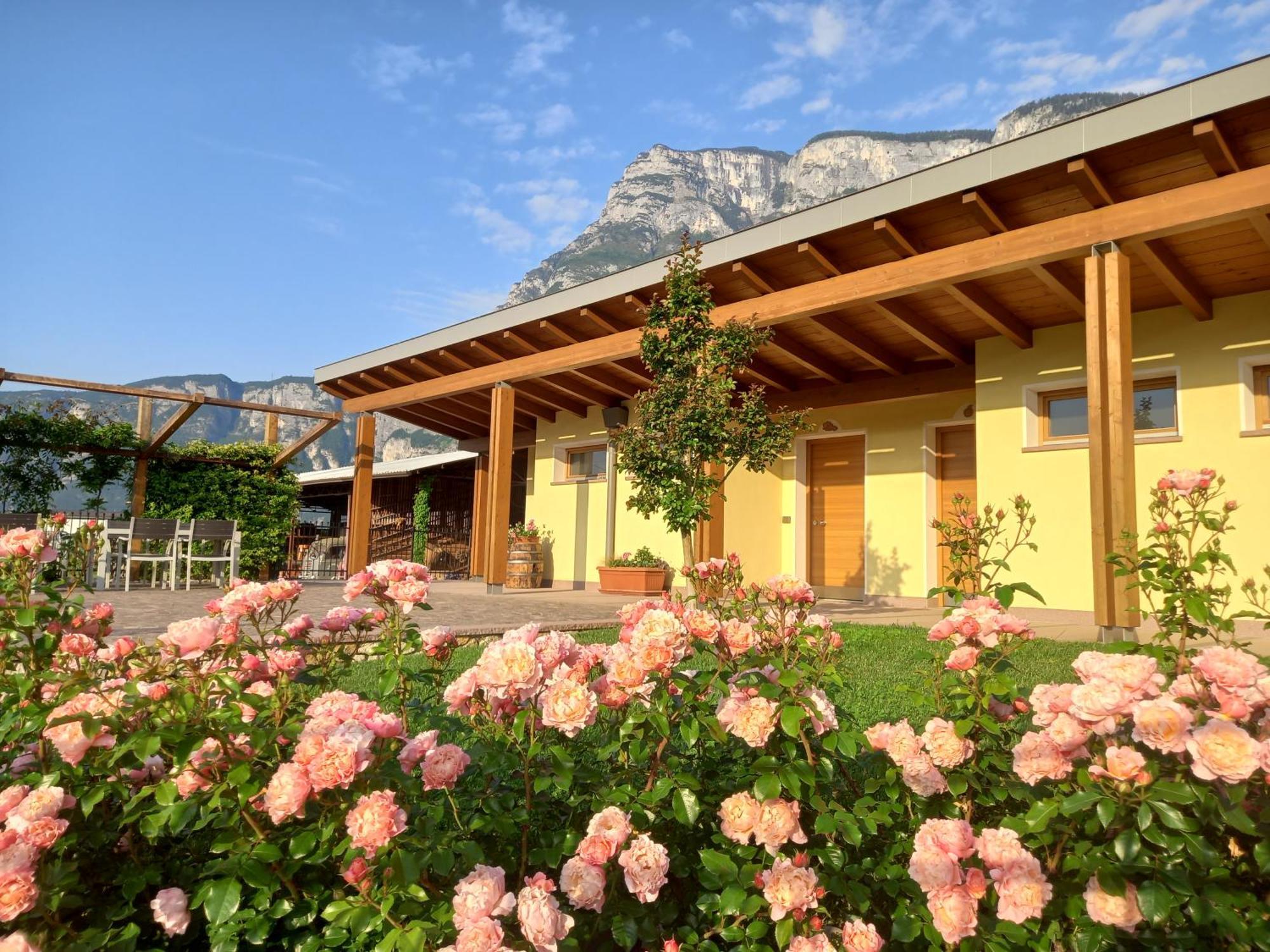 Agriturismo L' Isola Di Arturo 特伦托 外观 照片