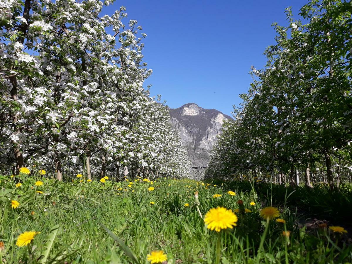 Agriturismo L' Isola Di Arturo 特伦托 外观 照片