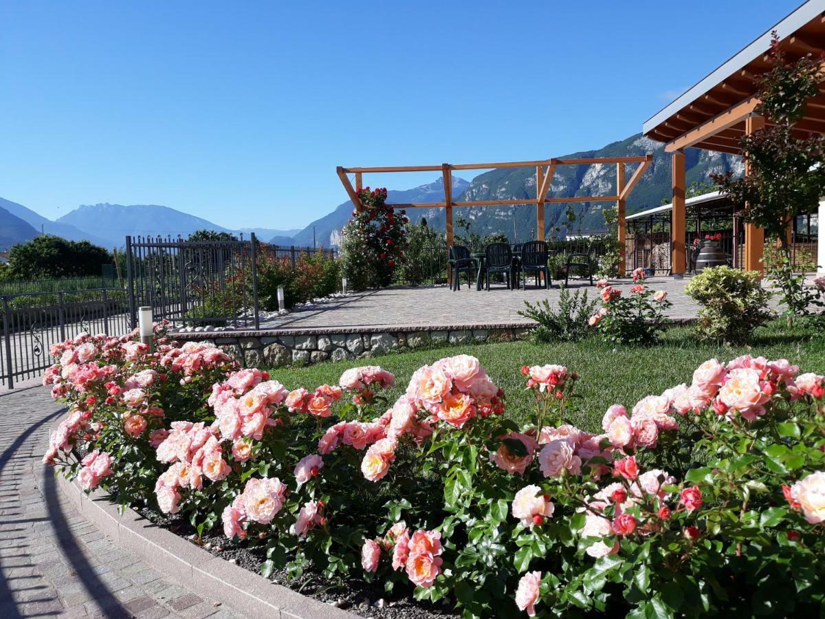 Agriturismo L' Isola Di Arturo 特伦托 外观 照片