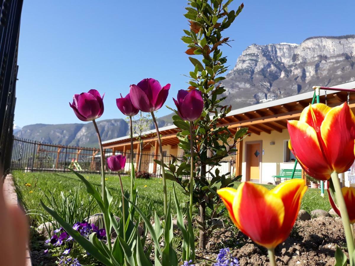 Agriturismo L' Isola Di Arturo 特伦托 外观 照片